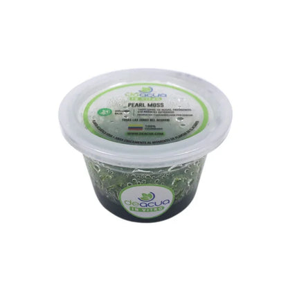 Pearl Moss (Musgo) (In vitro)